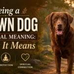 Seeing a Brown Dog Spiritual Meaning