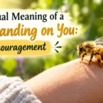 Spiritual Meaning of a Bee Landing on You
